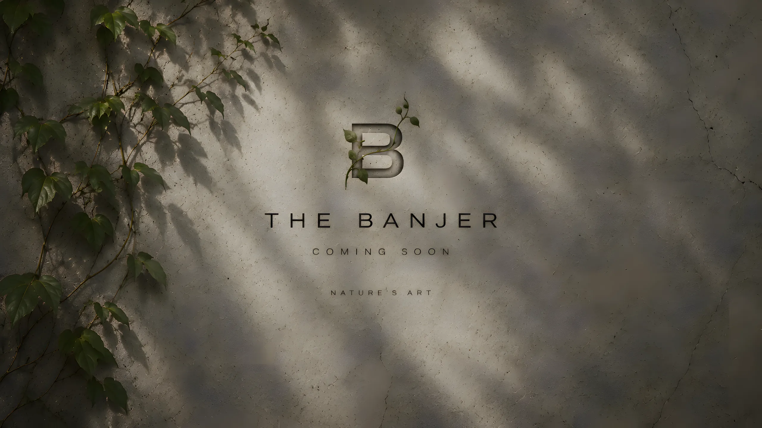 The Banjer - Coming soon...